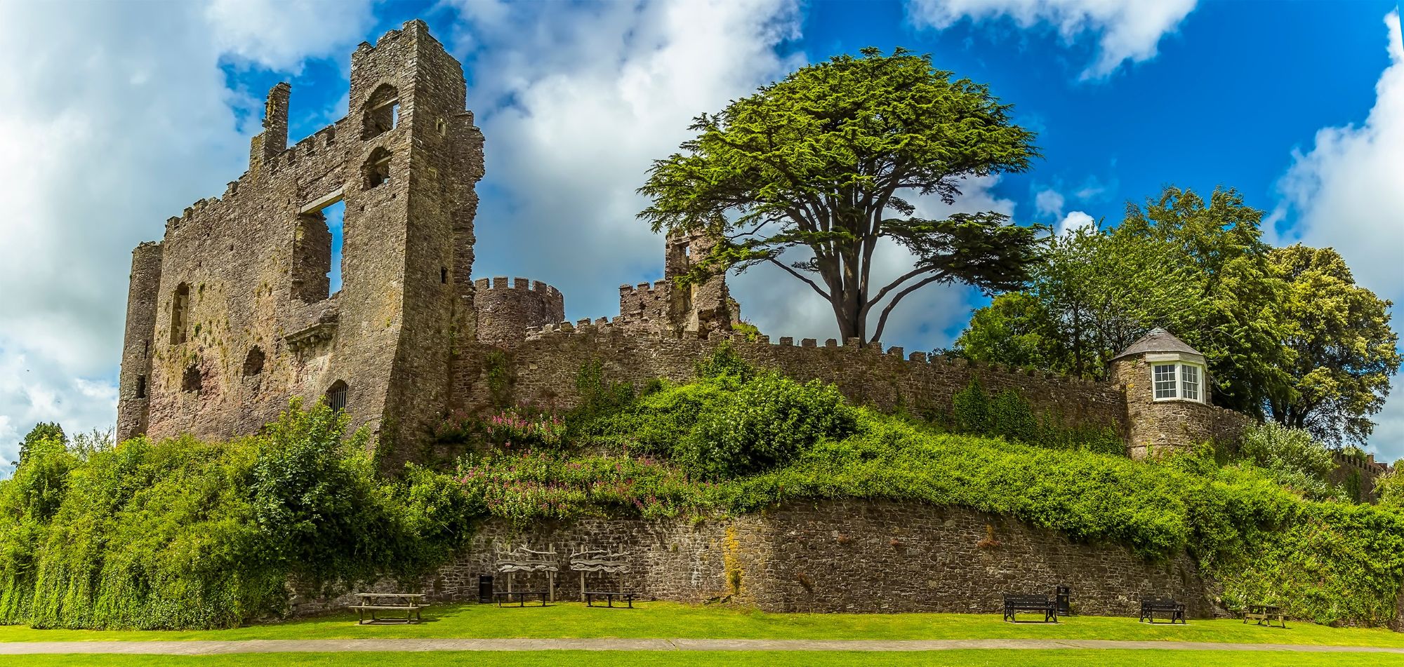 Protecting the Past: TIAA’s Heritage and Cultural Property Crime Service