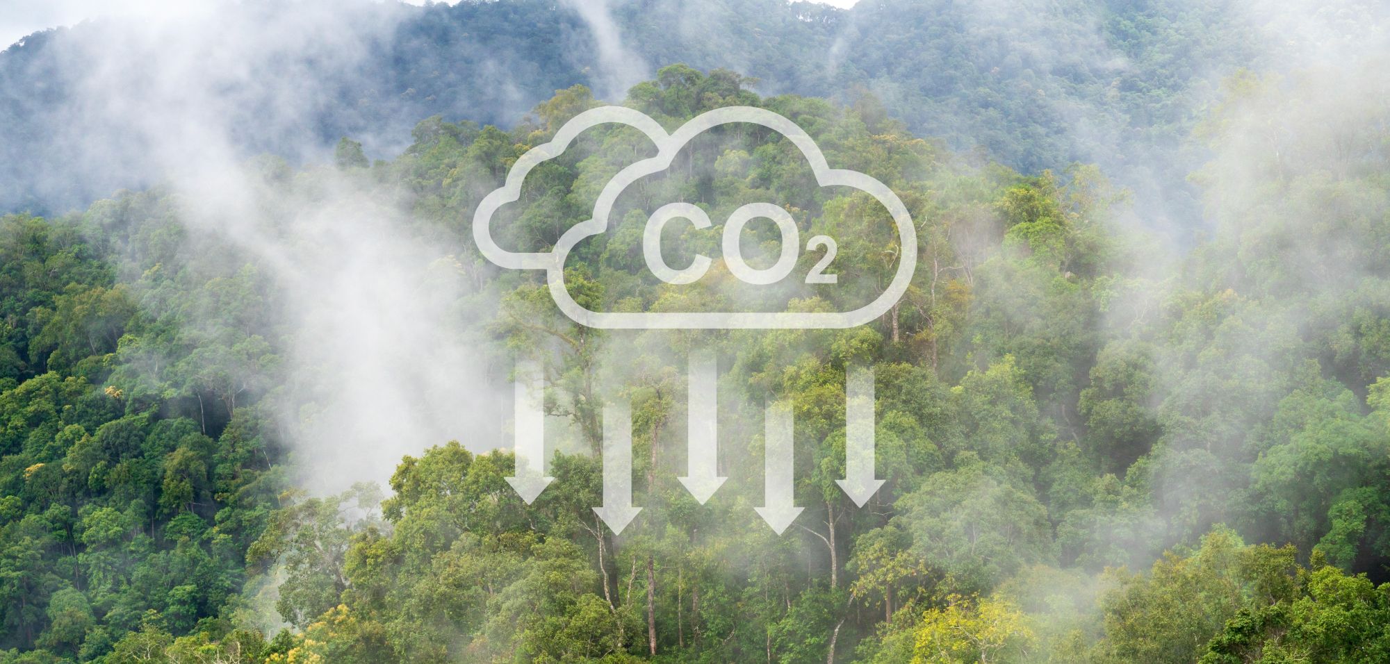 Decarbonisation in Housing & Local Authority Sectors