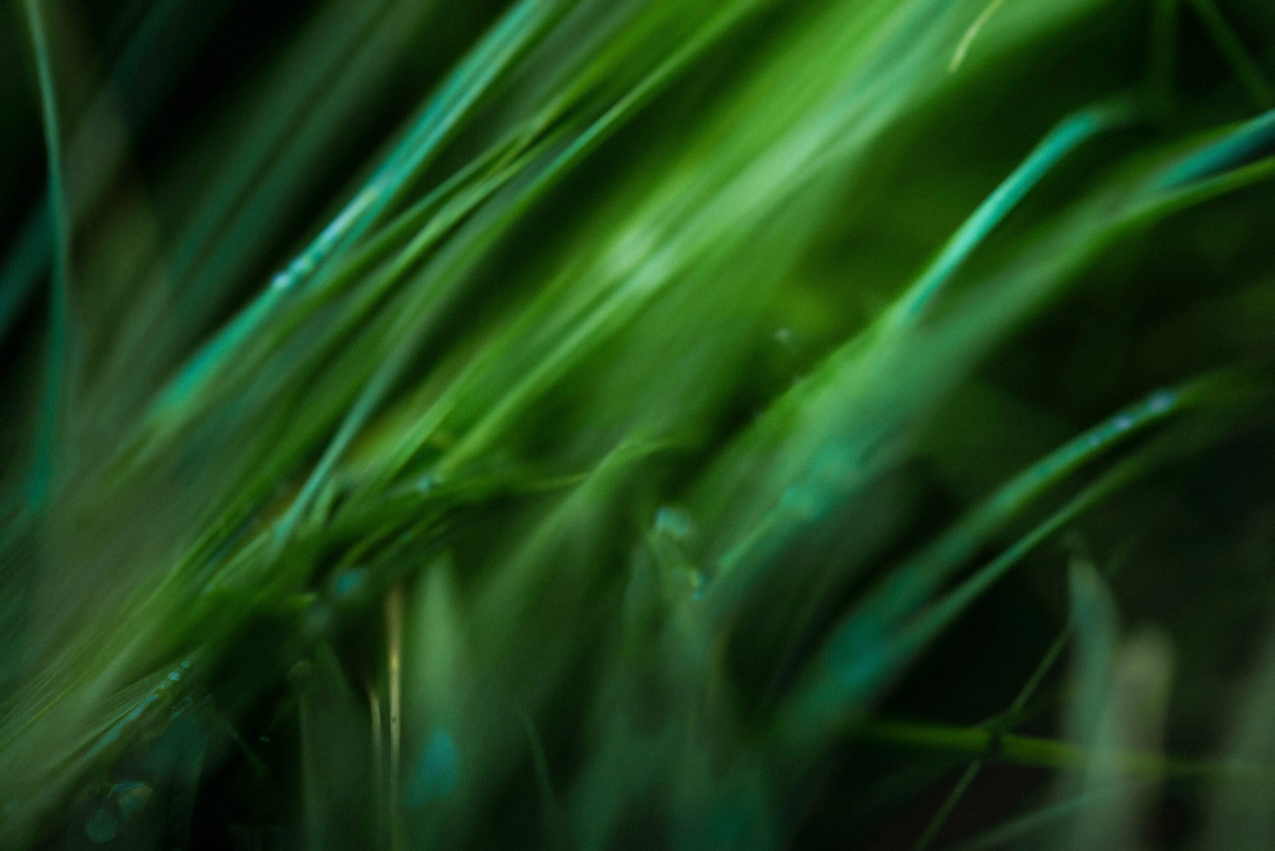 Tiaa becomes Certified B Corporation